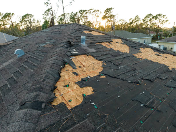 Best Roof Moss and Algae Removal  in Flower Mound, TX